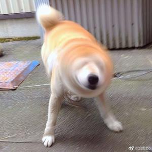 68་日本XXXXXXXX79
